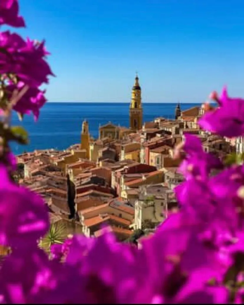 Winter Palace - Parking - Centre - Calme Menton